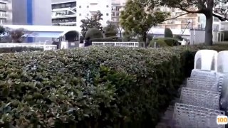 福利姬(香草少女)开年新作-性感淫欲小黑猫